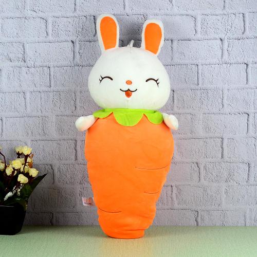 Carrot And Bunny