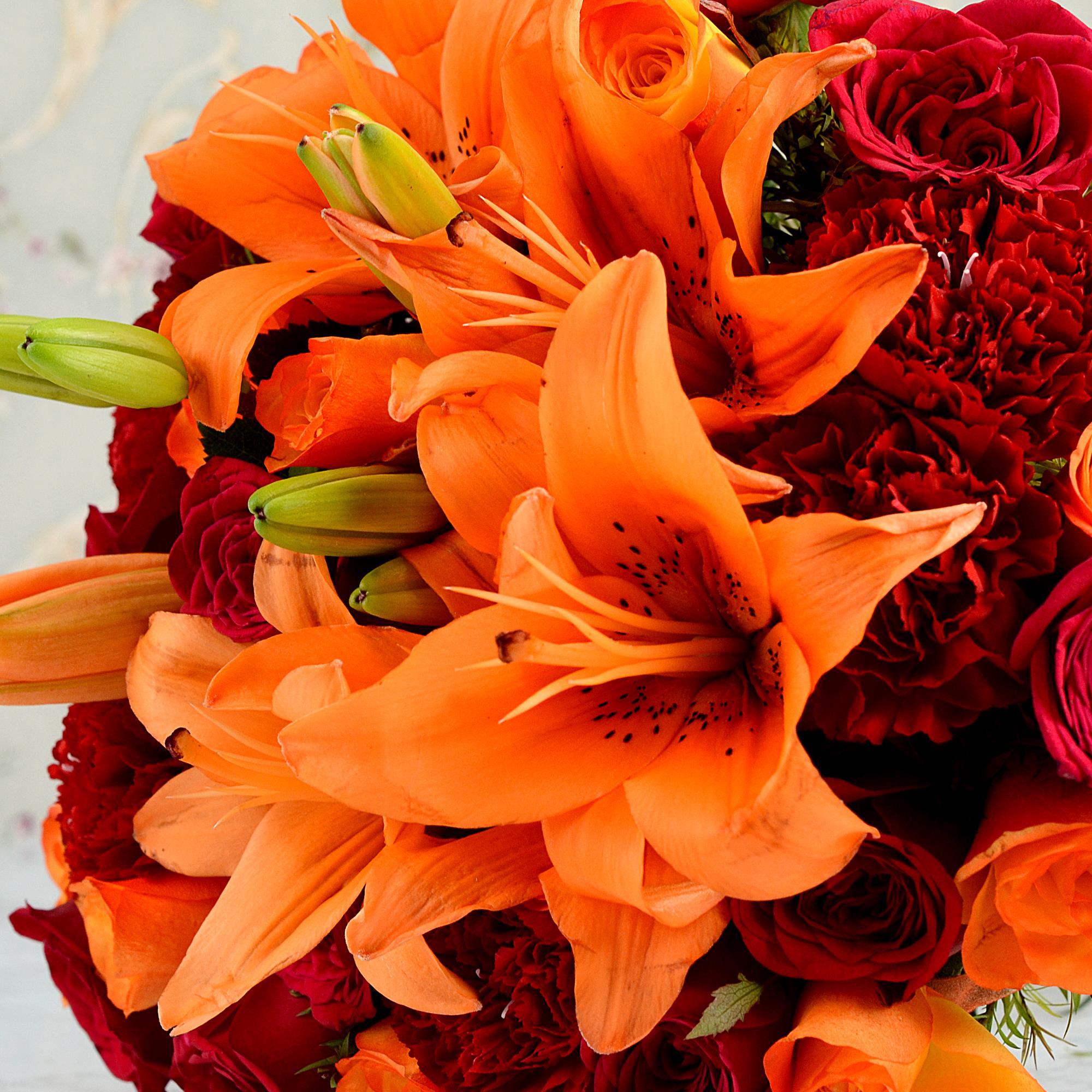 Colourful Flowers Exotic Flowers