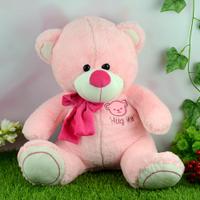 "Hug Me" Pink Teddy Bear