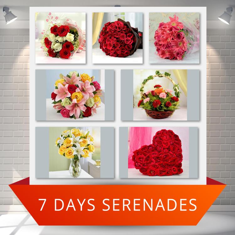 Floral 7-day Romantic Serenade