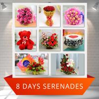 8-Day Serenade of Love
