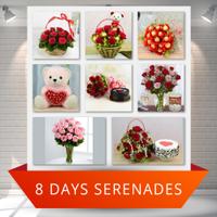 8 Day Valentine Roses Serenade