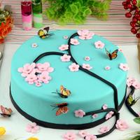 Butterfly Designer Fondant Cake