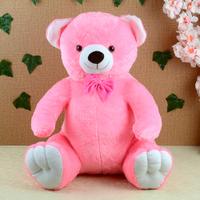 Smart and Cute Giant Teddy