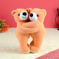 Brown Hug Teddy