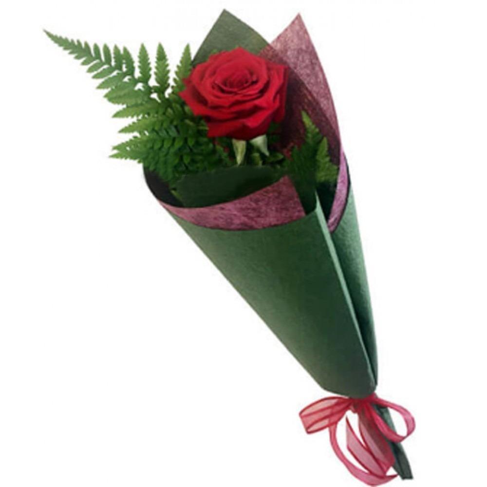 Valentine's Day Single Red Rose – Valentine's Day Gifts – New