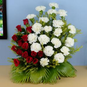 Blooms of Purity and Passion Blooms of Purity and Passion