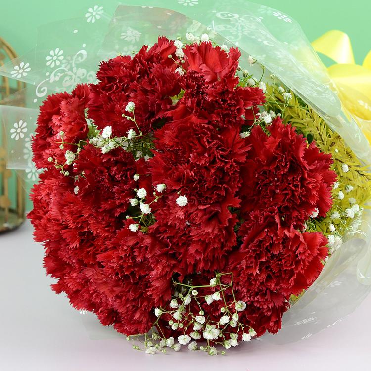 Mystique Red Carnation Bouquet
