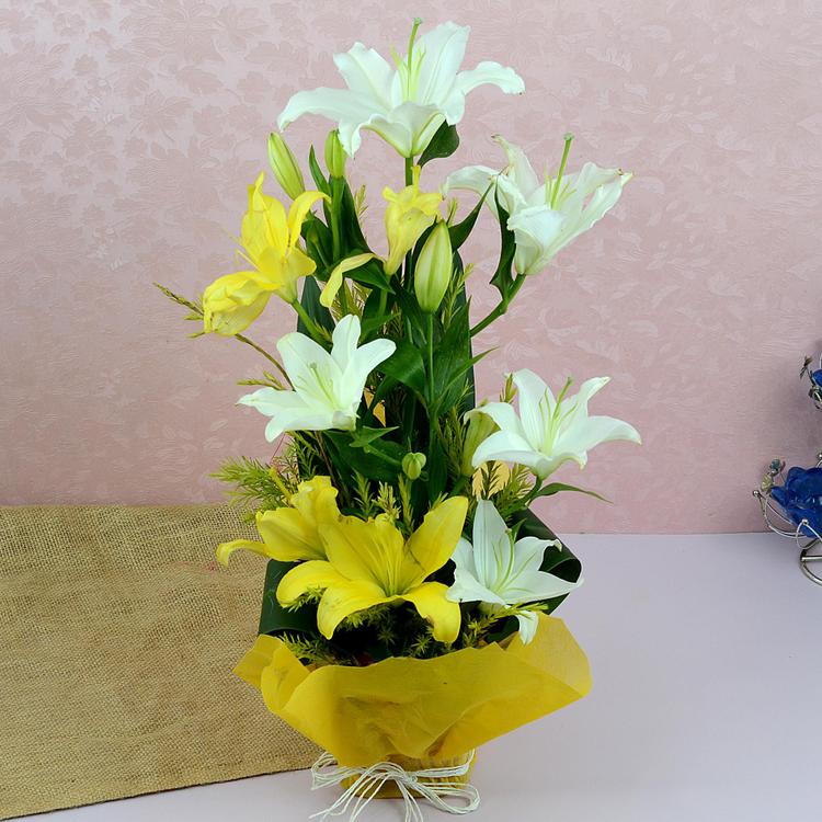 Bouquet of Summer Colors