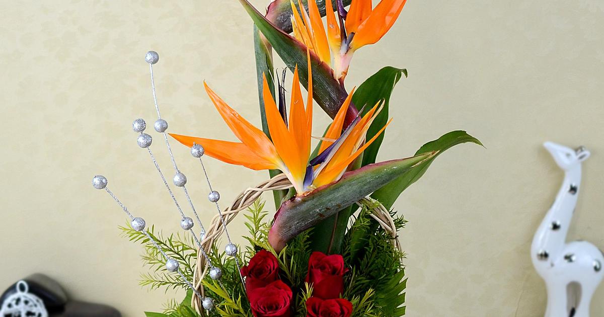 Exotic basket of flowers Exotic Flowers