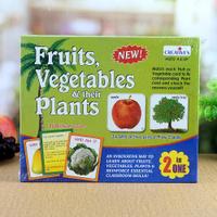 Fruits & Vegetables Games
