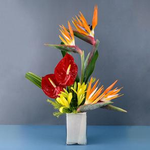 Hueful Floral Fantasy  Hueful Floral Fantasy