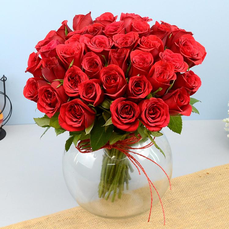 Bright Red Roses in a Vase