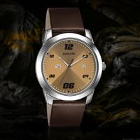 Sonata Watch 7924SL13