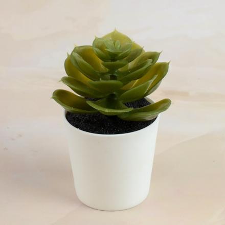 Artificial Plant