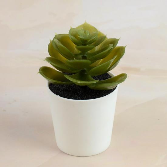 Artificial Plant
