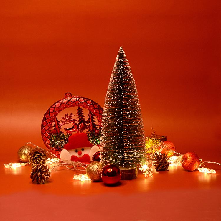 Merry Christmas Decor 