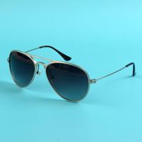 Titan Aviator Men's Sunglasses