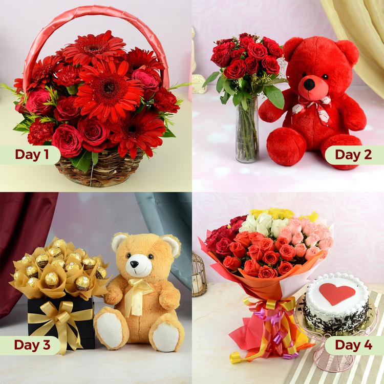 Delightful Bliss Serenade