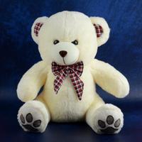Cute White Teddybear
