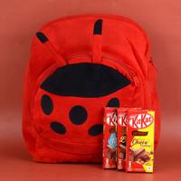 Chocolates & Ladybug Bag Combo