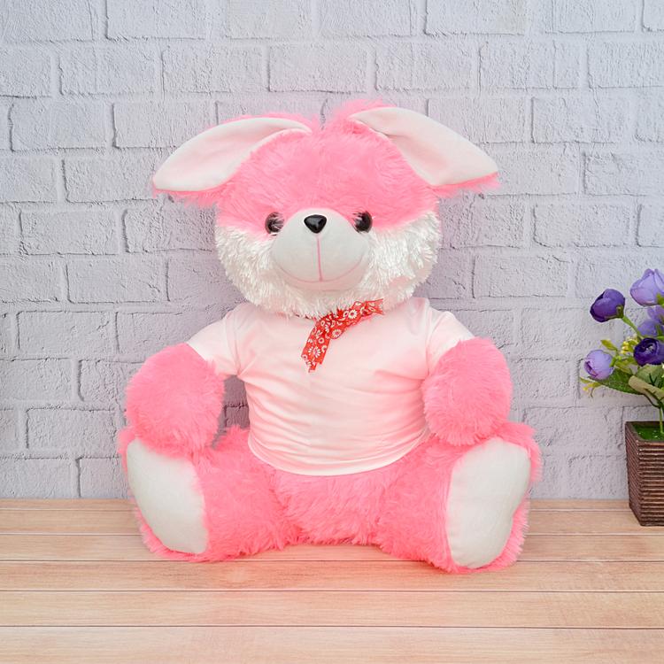 Pink Rabbit