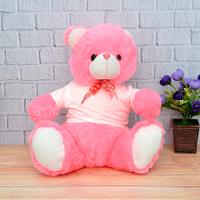 Sweet Pink Teddy