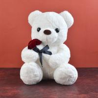 White Teddy with Red Rose