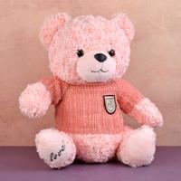 Pink Sweater Teddy Bear