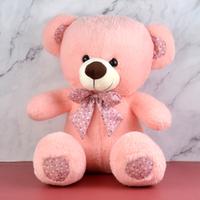 Pink Soft Fur Teddy