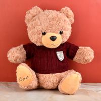 Cute Brown Sweater Teddy