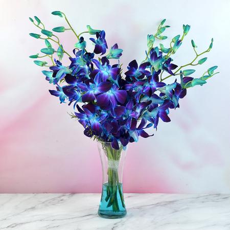Beautiful Blue Orchids with Vase