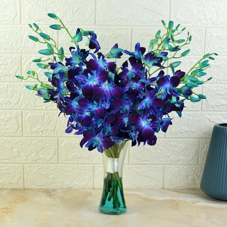 Blooming Blue Orchids in a Vase