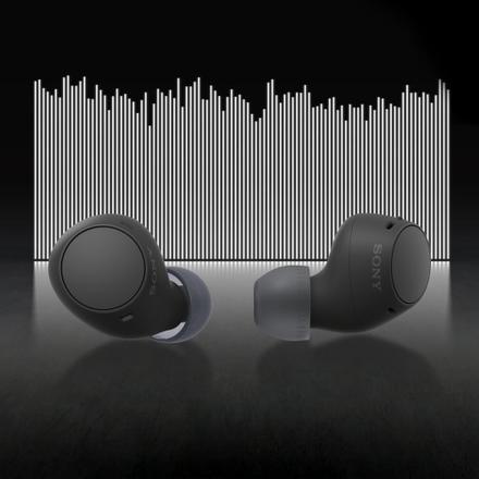 Sony WF-C510 Earbuds