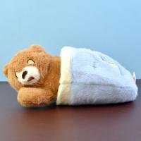Sleeping Teddy Bear Plush Toy