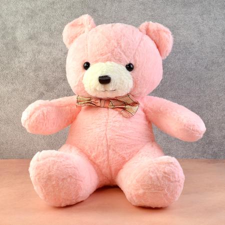 Pink Plush Teddy