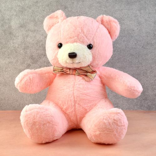 Pink Plush Teddy