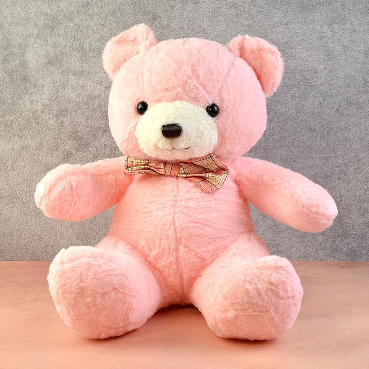 Pink Plush Teddy