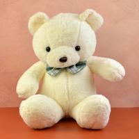 White Plush Teddy