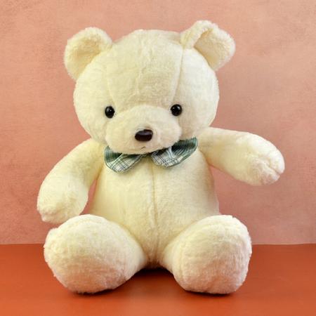 White Plush Teddy
