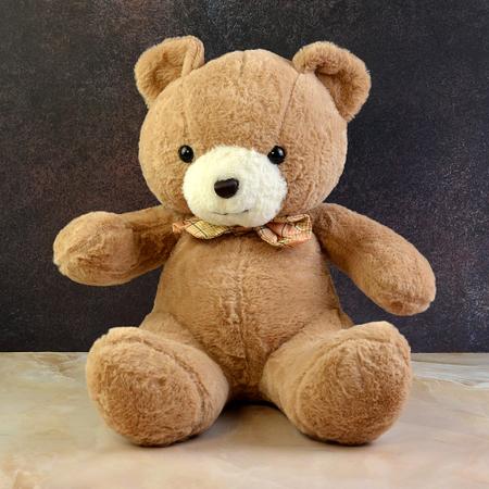 Brown Plush Teddy