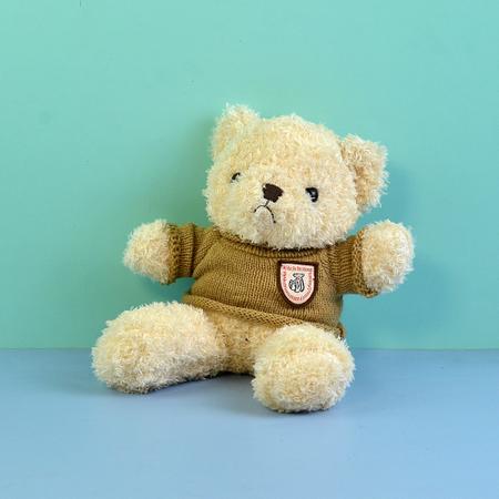 Beige Sweater Teddy
