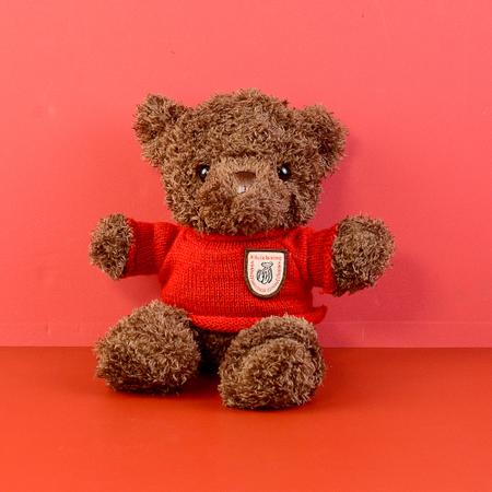 Dark Brown Sweater Teddy