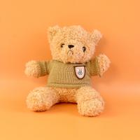 Brown Sweater Teddy