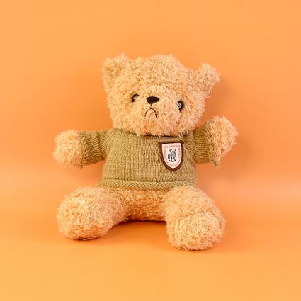 Brown Sweater Teddy