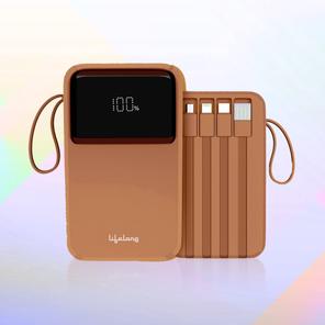 Lifelong Power Bank