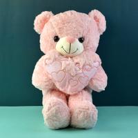 Cute Pink Teddy with Heart