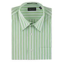 Van Heusen Bright Striped Shirt
