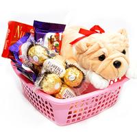 Chocolates and Soft Toy Hamper