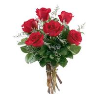 6 piece red Rose Bunch